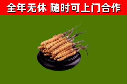 丰润区烟酒回收冬虫夏草.jpg